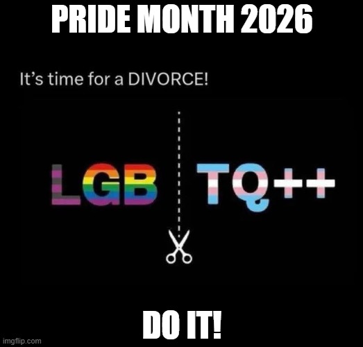 It's time for the LGB to finally cut off a toxic family member who has done nothing but set them back! | pride month 2026; do it! | image tagged in it's time for a divorce,pride month,2026,lgb without the tq | made w/ Imgflip meme maker