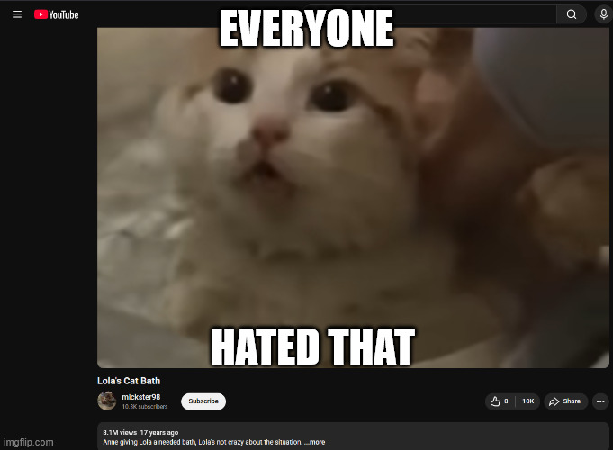 Everyone Hated That | Everyone; Hated that | image tagged in funny,cat,cats,youtube,video,dislike | made w/ Imgflip meme maker
