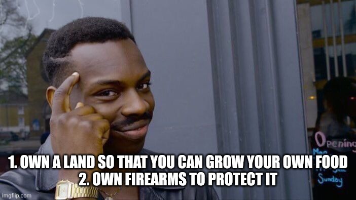 1. Own a land so that you can grow your own food
2. Own firearms to protect it | image tagged in memes,roll safe think about it | made w/ Imgflip meme maker