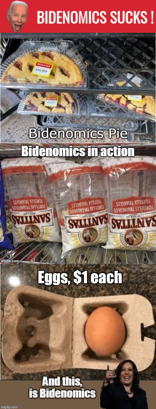 image tagged in bidenomics sucks logo,budenomics 1 eggs | made w/ Imgflip meme maker