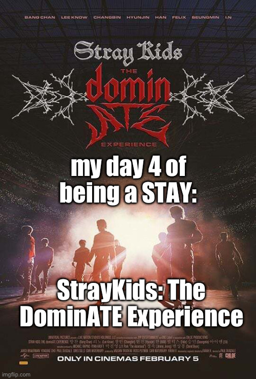 StrayKids & STAY | my day 4 of being a STAY:; StrayKids: The DominATE Experience | image tagged in straykids stay | made w/ Imgflip meme maker