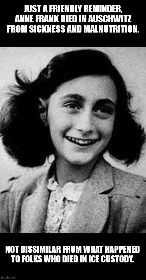 Just a friendly reminder, Anne Frank died in Auschwitz from sickness and malnutrition. Not dissimilar from what happened to folks who died i | image tagged in anne frank | made w/ Imgflip meme maker
