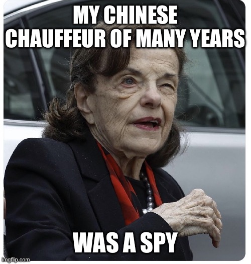 Senator Diane Feinstein | My Chinese chauffeur of many years Was a spy | image tagged in senator diane feinstein | made w/ Imgflip meme maker