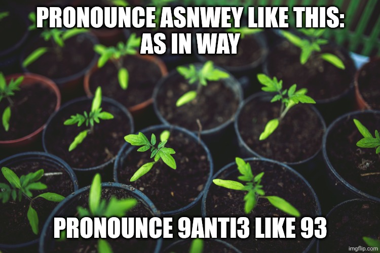 Baby Plants | Pronounce asnwey like this:
As in way; Pronounce 9anti3 like 93 | made w/ Imgflip meme maker