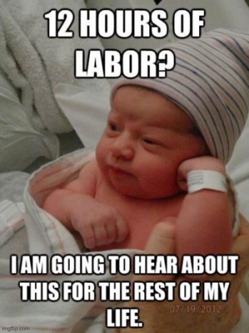 IMG_0245.jpeg | image tagged in img_0245 jpeg | made w/ Imgflip meme maker