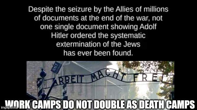 YOU HAVE BEEN LIED TO ? IN REGARDS TO THE CONDITIONS AT AUSCHWIT | work camps do not double as death camps | image tagged in you have been lied to in regards to the conditions at auschwit | made w/ Imgflip meme maker