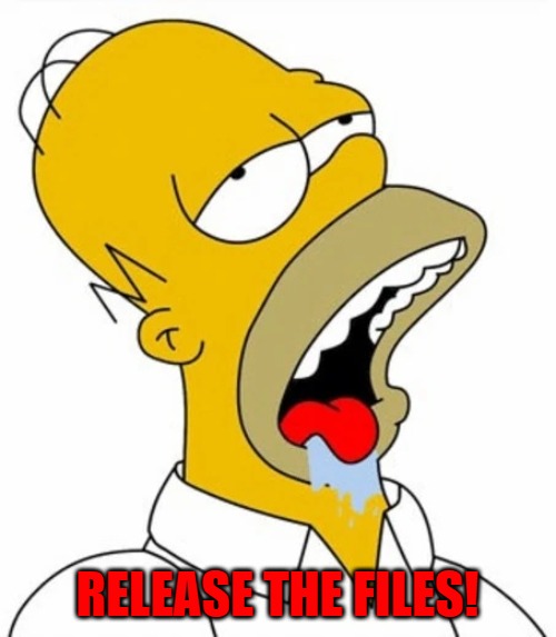 Homer slobber | Release the files! | image tagged in homer slobber | made w/ Imgflip meme maker