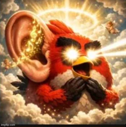angry bird with ear open peak | image tagged in angry bird with ear open peak | made w/ Imgflip meme maker