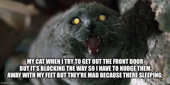 Cat meme | My cat when I try to get out the front door but it’s blocking the way so I have to nudge them away with my feet but they’re mad because there sleeping: | image tagged in church cat,remix,funny memes,cat,cute cat,memes | made w/ Imgflip meme maker