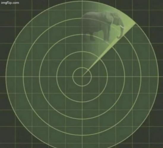 elephant radar | image tagged in elephant radar | made w/ Imgflip meme maker