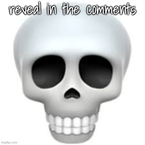 Credit to my niece for taking the picture (why am i doing this) | reveal in the comments | image tagged in skull | made w/ Imgflip meme maker