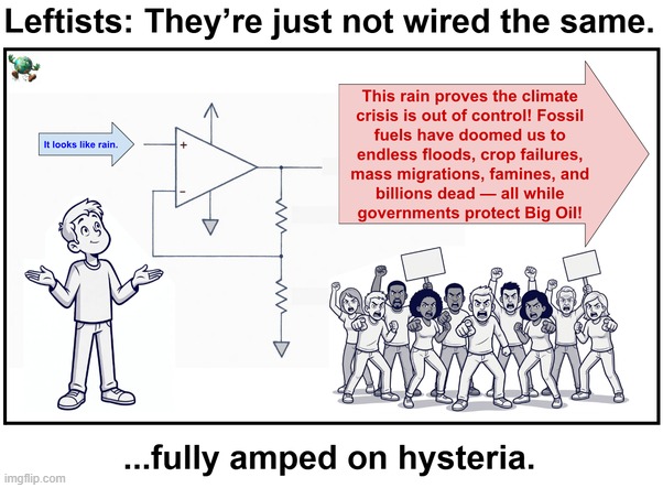 Crazy Lefties | image tagged in maga,conservative,leftists | made w/ Imgflip meme maker