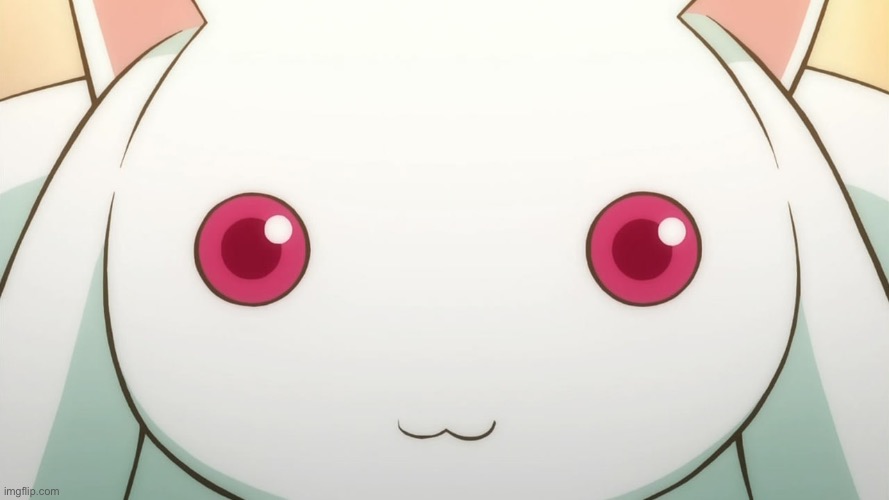 Can you please sign her contract | image tagged in kyubey | made w/ Imgflip meme maker