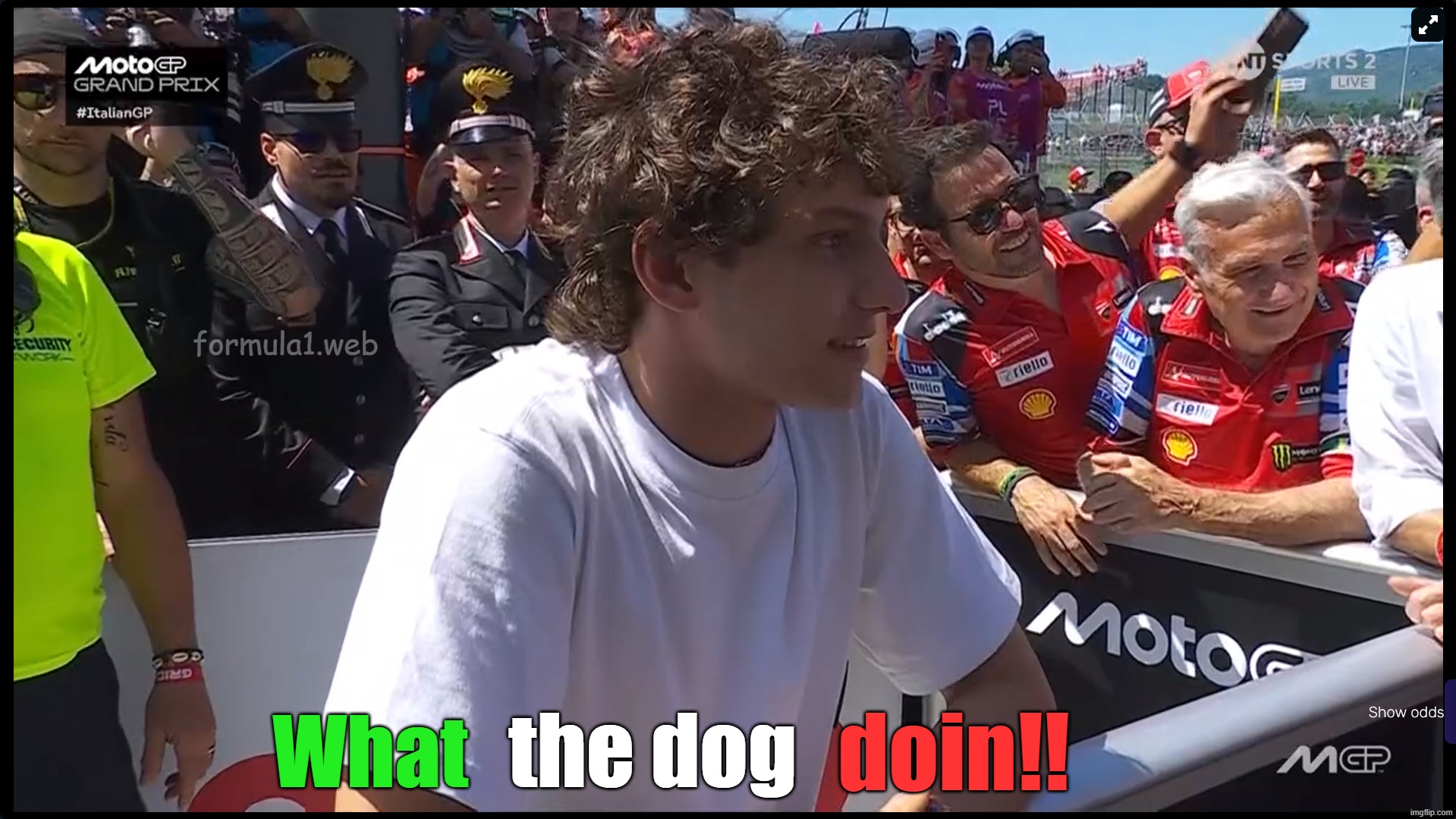 kimi antonelli | formula1.web; the dog; doin!! What | image tagged in screenshot 2026-05-31 182628 png | made w/ Imgflip meme maker
