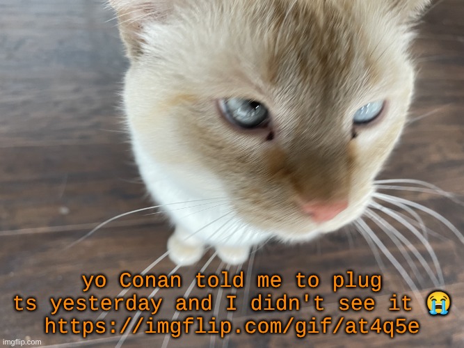https://imgflip.com/gif/at4q5e | yo Conan told me to plug ts yesterday and I didn't see it 😭
https://imgflip.com/gif/at4q5e | image tagged in cheze's cat | made w/ Imgflip meme maker