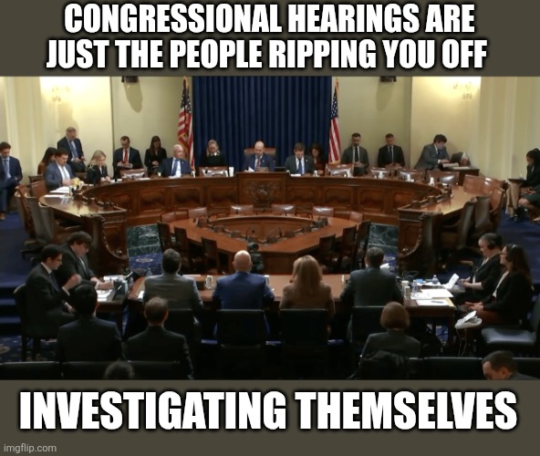 Congressional hearings are just the people ripping you off; Investigating themselves | image tagged in 1702411898361 png | made w/ Imgflip meme maker