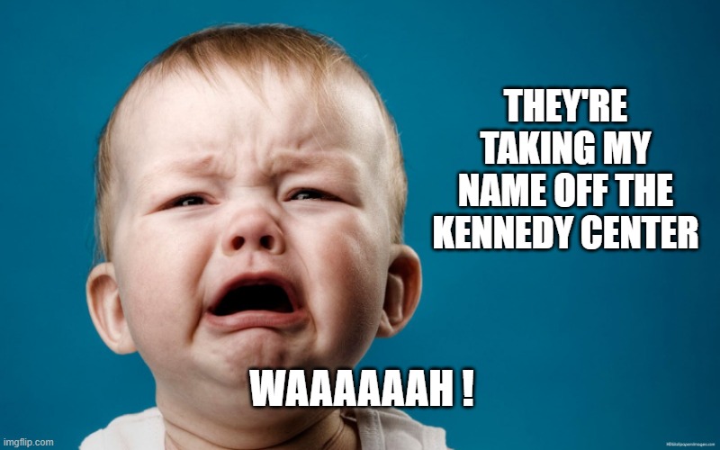 _crying-baby.jpg | They're taking my name off the Kennedy Center; waaaaaah ! | image tagged in _crying-baby jpg,trump,crybaby | made w/ Imgflip meme maker