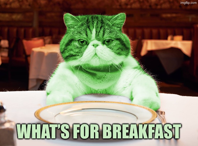 Other than political memes by children | What’s for breakfast | image tagged in raycat hungry | made w/ Imgflip meme maker