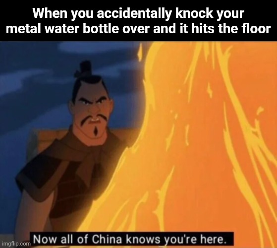 CLANGGGG | When you accidentally knock your metal water bottle over and it hits the floor | image tagged in now all of china knows you're here,memes,metal,noise,embarrassing | made w/ Imgflip meme maker
