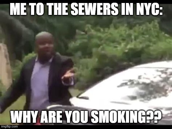 Why are you running? | me to the sewers in NYC: why are you smoking?? | image tagged in why are you running | made w/ Imgflip meme maker