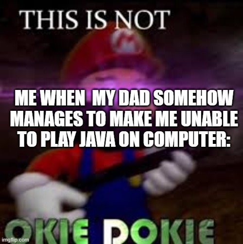 i spent 4 hours trying to get it working the first time and now i can't even play java anymore | me when  my dad somehow manages to make me unable to play java on computer: | image tagged in this is not okie dokie | made w/ Imgflip meme maker