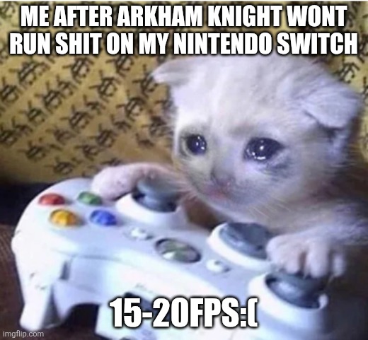 Sad gaming cat | ME after arkham knight wont run shit on my Nintendo switch; 15-20FPS:( | image tagged in sad gaming cat | made w/ Imgflip meme maker