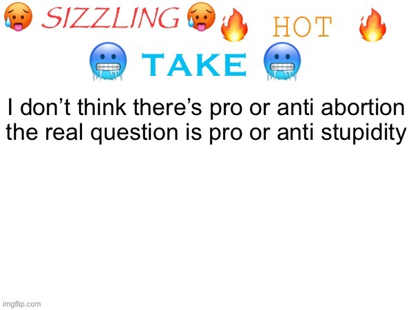 Stupidity being the act of needing an abortion in the first place | I don’t think there’s pro or anti abortion the real question is pro or anti stupidity | image tagged in sizzling hot take | made w/ Imgflip meme maker