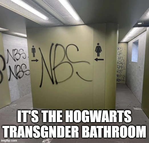 Where's the Potty? | It's the hogwarts transgnder bathroom | image tagged in you had one job | made w/ Imgflip meme maker