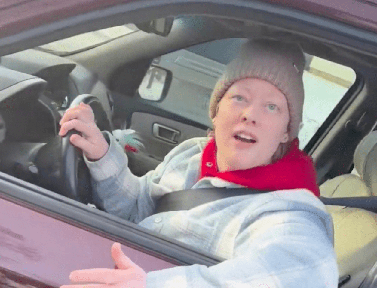 Renee Good Blank Meme Template