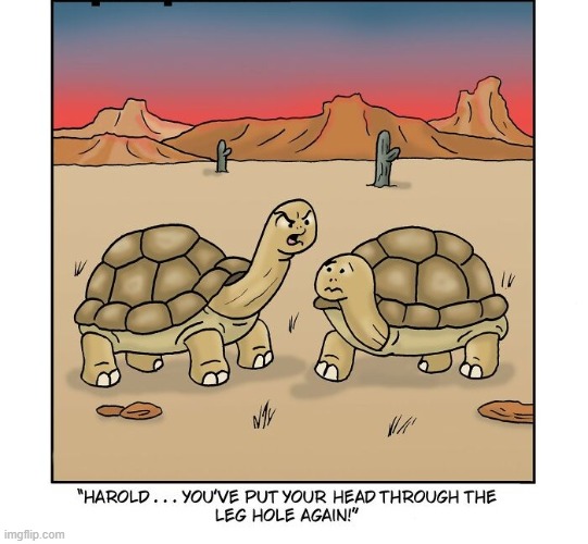 Wrong Hole | image tagged in comics | made w/ Imgflip meme maker