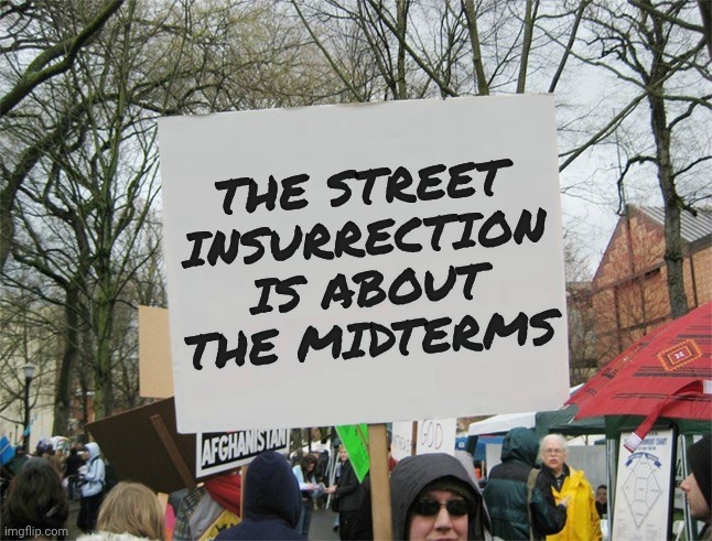 Blank protest sign | The Street insurrection is about the Midterms | image tagged in blank protest sign | made w/ Imgflip meme maker