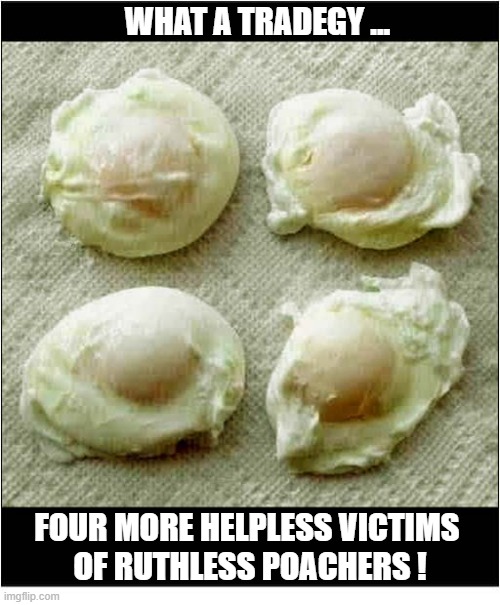 It's A Kitchen Nightmare ! | What A Tradegy ... Four more helpless victims 
of ruthless poachers ! | image tagged in kitchen nightmares,eggs,poached,play on words | made w/ Imgflip meme maker