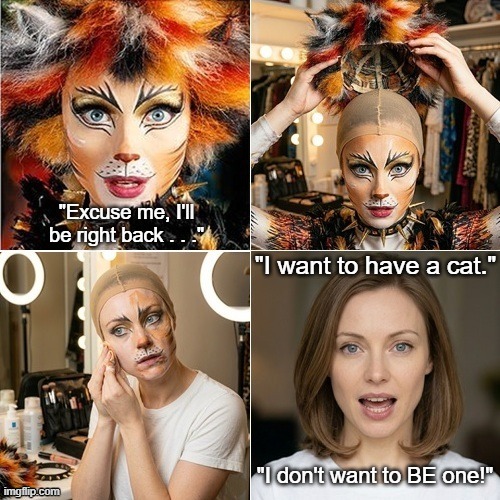 Cats the Musical - Demeter Unmasking | image tagged in cats the muscial,demeter,makeup removal,cats the musical sucks,andrew lloyd webber sucks | made w/ Imgflip meme maker