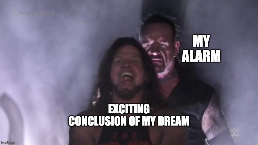 Bye Bye Dream | image tagged in undertaker-meme-waking-up-from-dreams webp | made w/ Imgflip meme maker
