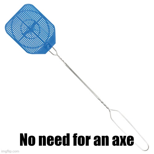Fly swatter | No need for an axe | image tagged in fly swatter | made w/ Imgflip meme maker