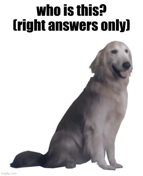 Testing msmg's Ace Combat knowledge | who is this?
(right answers only) | made w/ Imgflip meme maker