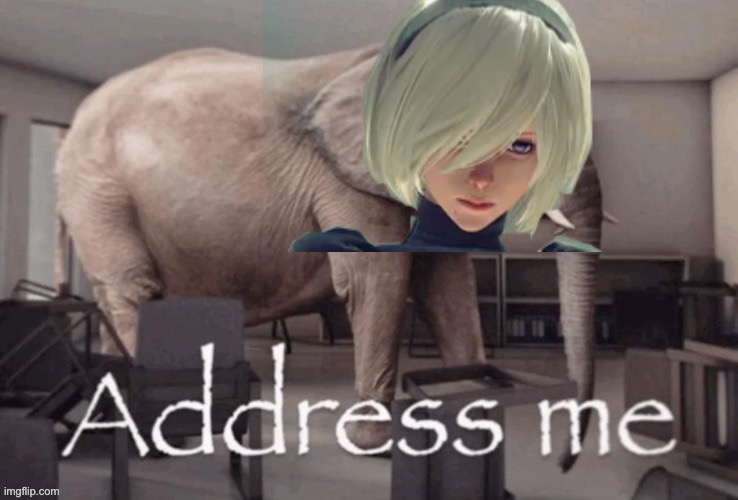 Address me | image tagged in address me | made w/ Imgflip meme maker