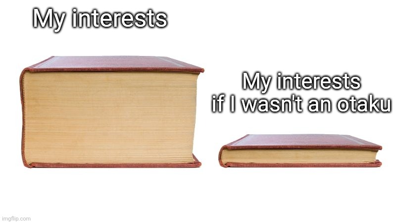 thick book thin book | My interests; My interests if I wasn't an otaku | image tagged in thick book thin book | made w/ Imgflip meme maker