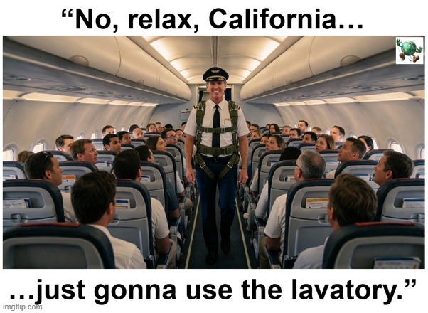 After Gavin crashes California, then what? Does he think he’s gonna be President? | image tagged in maga,conservative,gavin,california | made w/ Imgflip meme maker