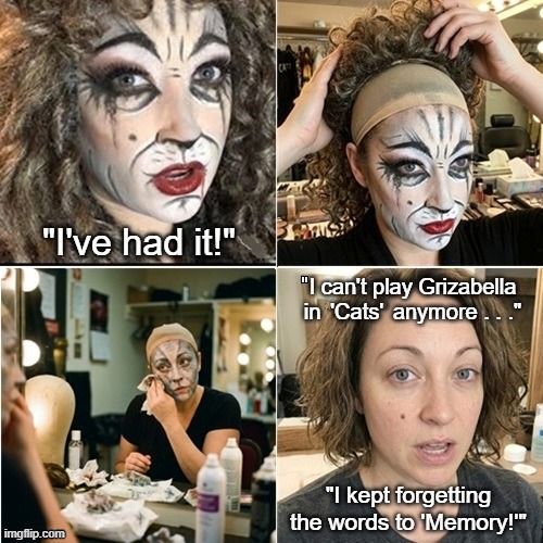 Cats the Musical - Grizabella Unmasking | image tagged in cats the musical,grizabella,makeup removal,cats the musical sucks,andrew lloyd webber sucks | made w/ Imgflip meme maker