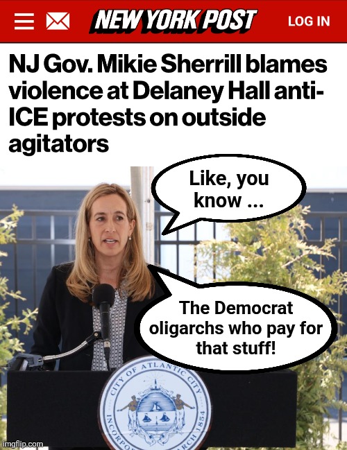 If the truth slipped out | Like, you
know ... The Democrat
oligarchs who pay for
that stuff! | image tagged in memes,ice,violence,democrats,mikie sherrill,oligarchy | made w/ Imgflip meme maker