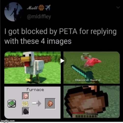 aint no way bro | image tagged in minecraft,peta,chicken | made w/ Imgflip meme maker