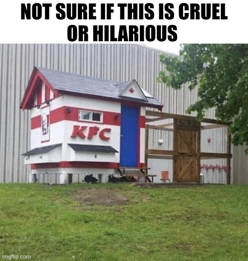 Not Sure If This Is Cruel Or Hilarious | Not sure if this is cruel
Or hilarious | made w/ Imgflip meme maker