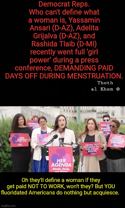 DEMOCRATS CAN'T DEFINE A FEMALE ! | Democrat Reps. Who can't define what a woman is, Yassamin Ansari (D-AZ), Adelita Grijalva (D-AZ), and Rashida Tlaib (D-MI) recently went full ‘girl power’ during a press conference, DEMANDING PAID DAYS OFF DURING MENSTRUATION. Thoth al Khem ©; Oh they'll define a woman if they get paid NOT TO WORK, won't they? But YOU fluoridated Americans do nothing but acquiesce. | image tagged in unless they get paid,communist idiot democrats,grow a pair of,balls,evil democrat party | made w/ Imgflip meme maker