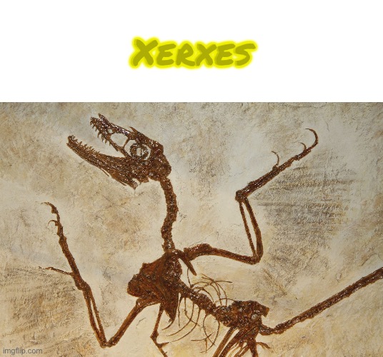 My own oc slander PT2 | Xerxes | image tagged in what n' fossilization | made w/ Imgflip meme maker