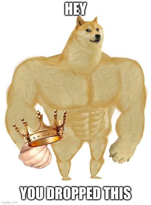 Doge Crown | hey; you dropped this | image tagged in swole doge,funny,memes | made w/ Imgflip meme maker
