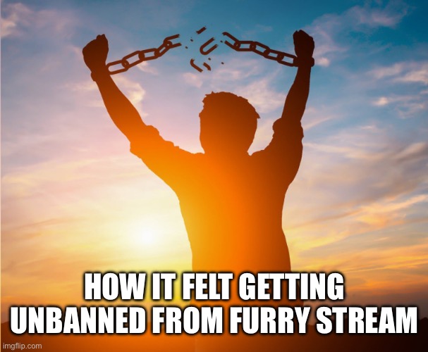 Man breaking free from chains over the sunset | How it felt getting unbanned from furry stream | image tagged in man breaking free from chains over the sunset | made w/ Imgflip meme maker