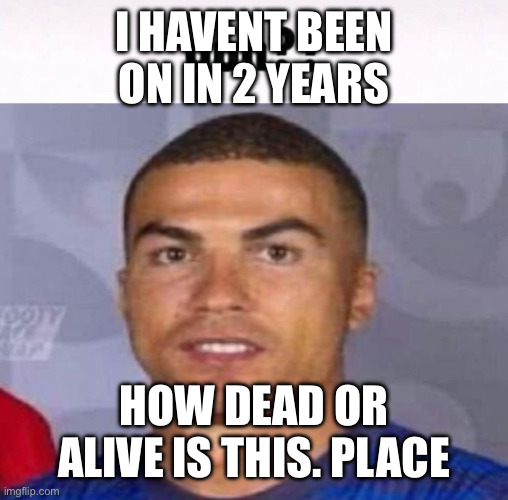 guh?? | i havent been on in 2 years; how dead or alive is this. place | image tagged in guh | made w/ Imgflip meme maker