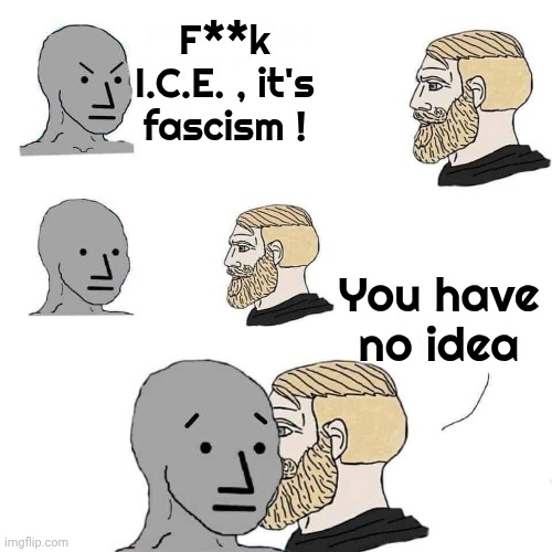 F**k I.C.E. , it's fascism ! You have no idea | image tagged in chad approaching npc | made w/ Imgflip meme maker