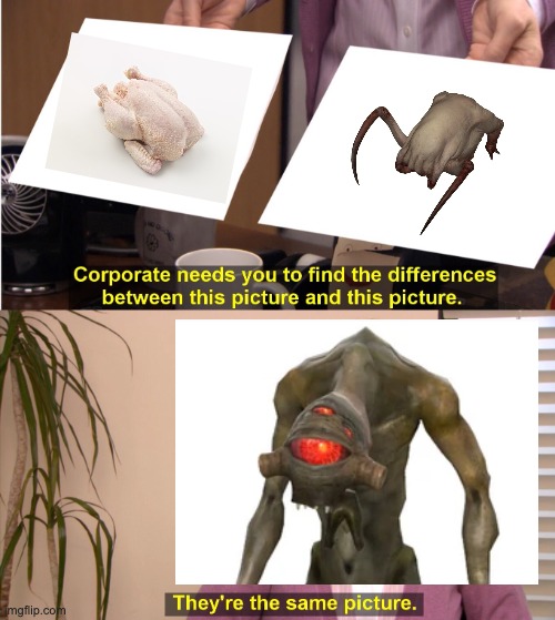SUSTENANCE! | image tagged in memes,they're the same picture,half life,video game,chicken,food | made w/ Imgflip meme maker